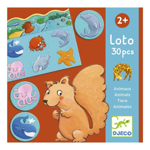 Loto animales Djeco