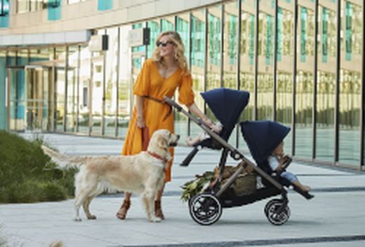Twin Strollers