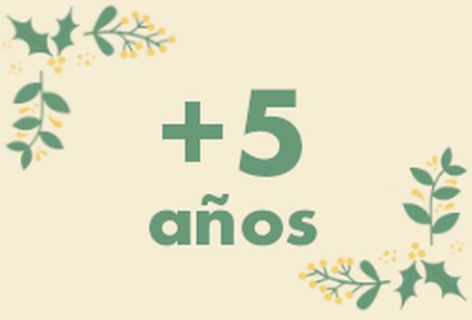 Juguetes para mayores de 5 años
