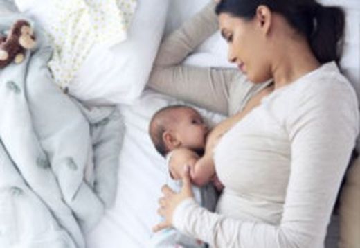 La lactation