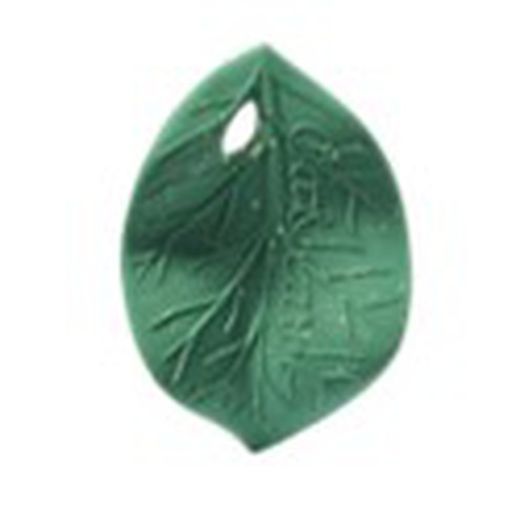 Oli&Carol Chlorophyllblatt